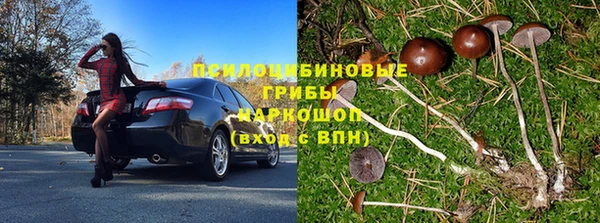 гашик Алзамай