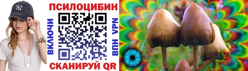 Галлюциногенные грибы мицелий  Неман 