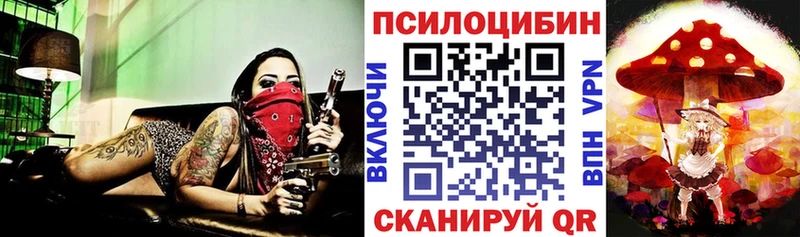 Псилоцибиновые грибы GOLDEN TEACHER Неман