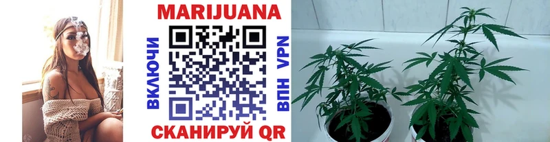 Марихуана MAZAR  где найти   Неман 